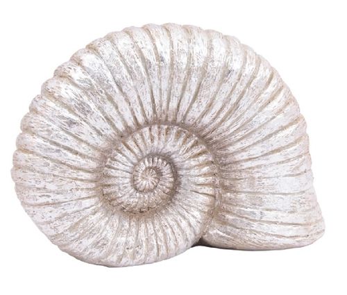 Ammonit Hilda Schnecke silber 34,5cm